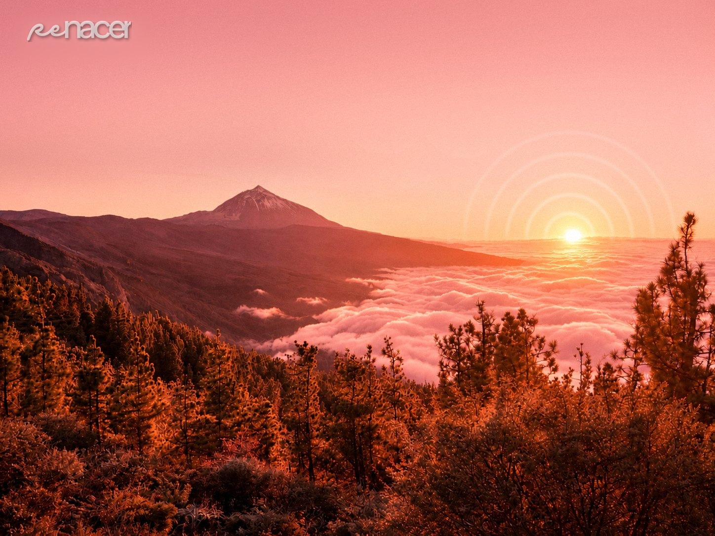 Teide